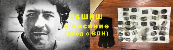 индика Алзамай