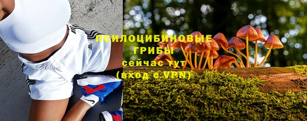 индика Алзамай